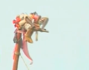 Information on Sirimanu Jathara the Utsav to be held once in 15 years Andhra Pradesh in Srikakulam